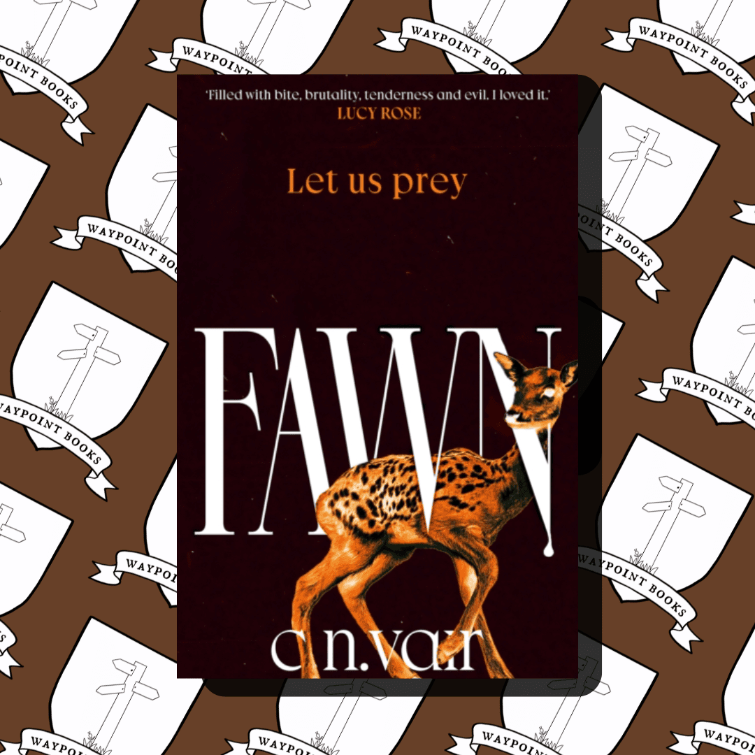 Fawn